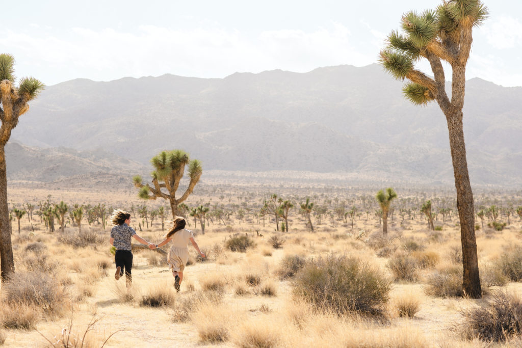 how to elope in joshua tree national park, elopement planning, elopement checklist