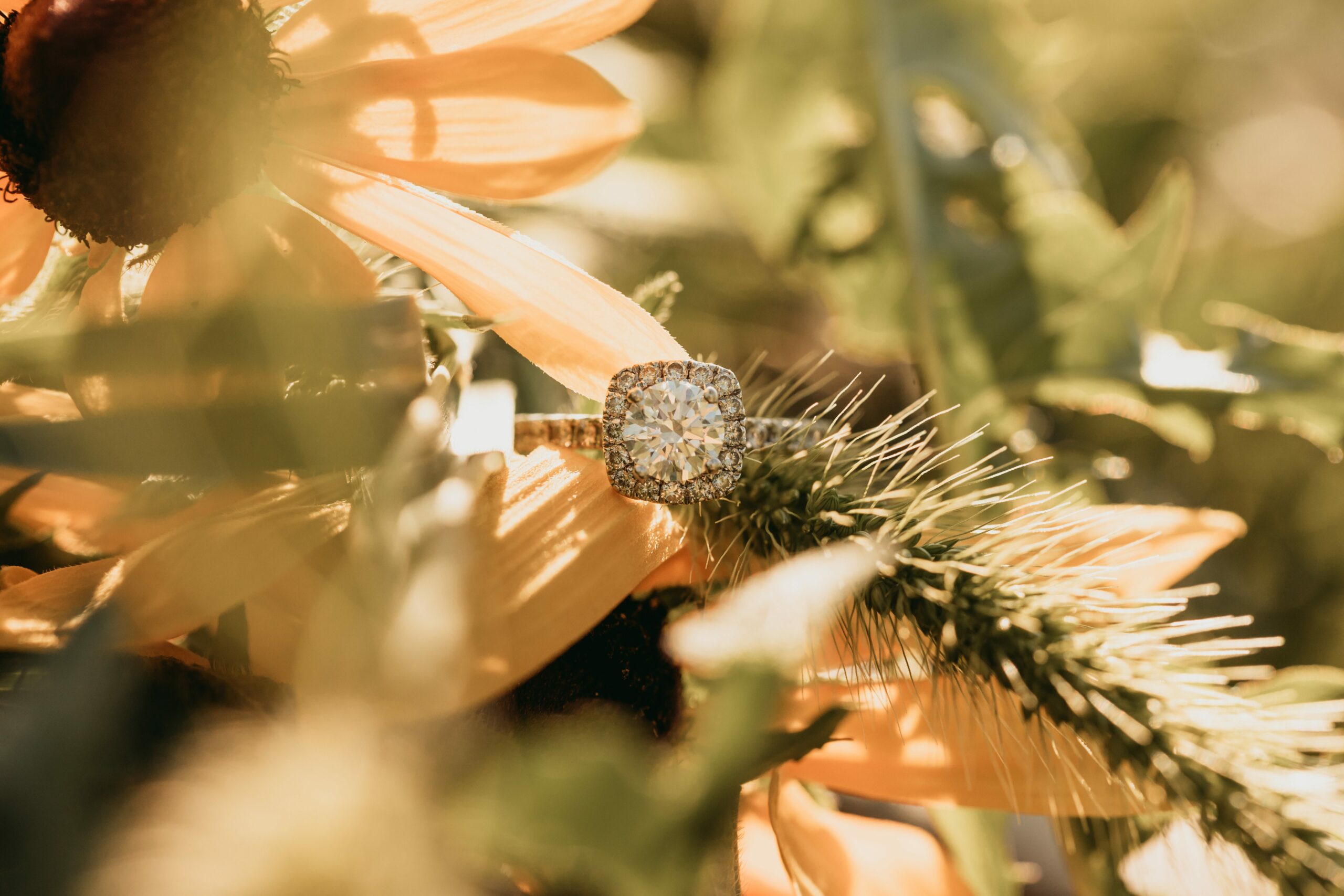 engagement ring in sunflowers