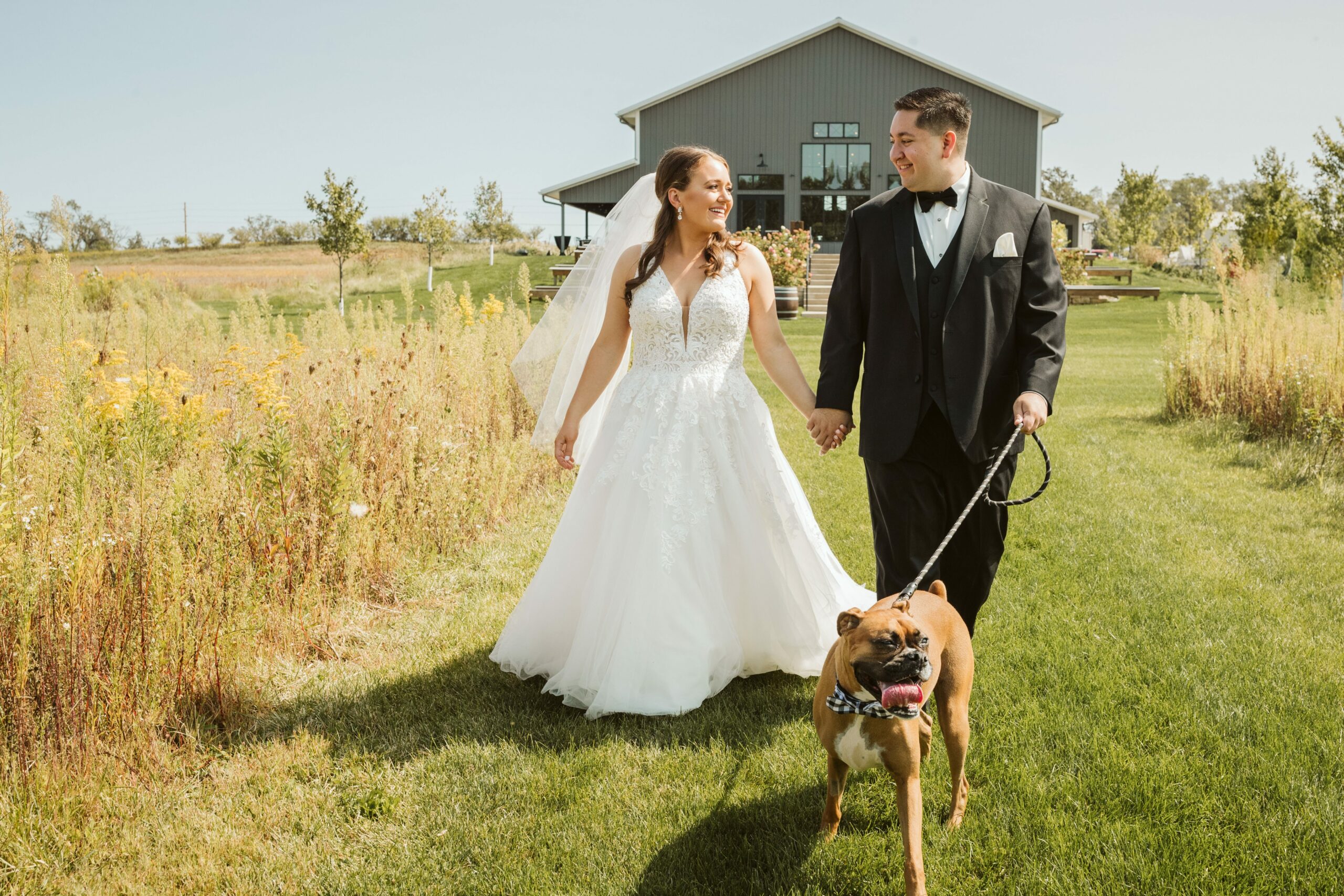 bride and groom walking dog