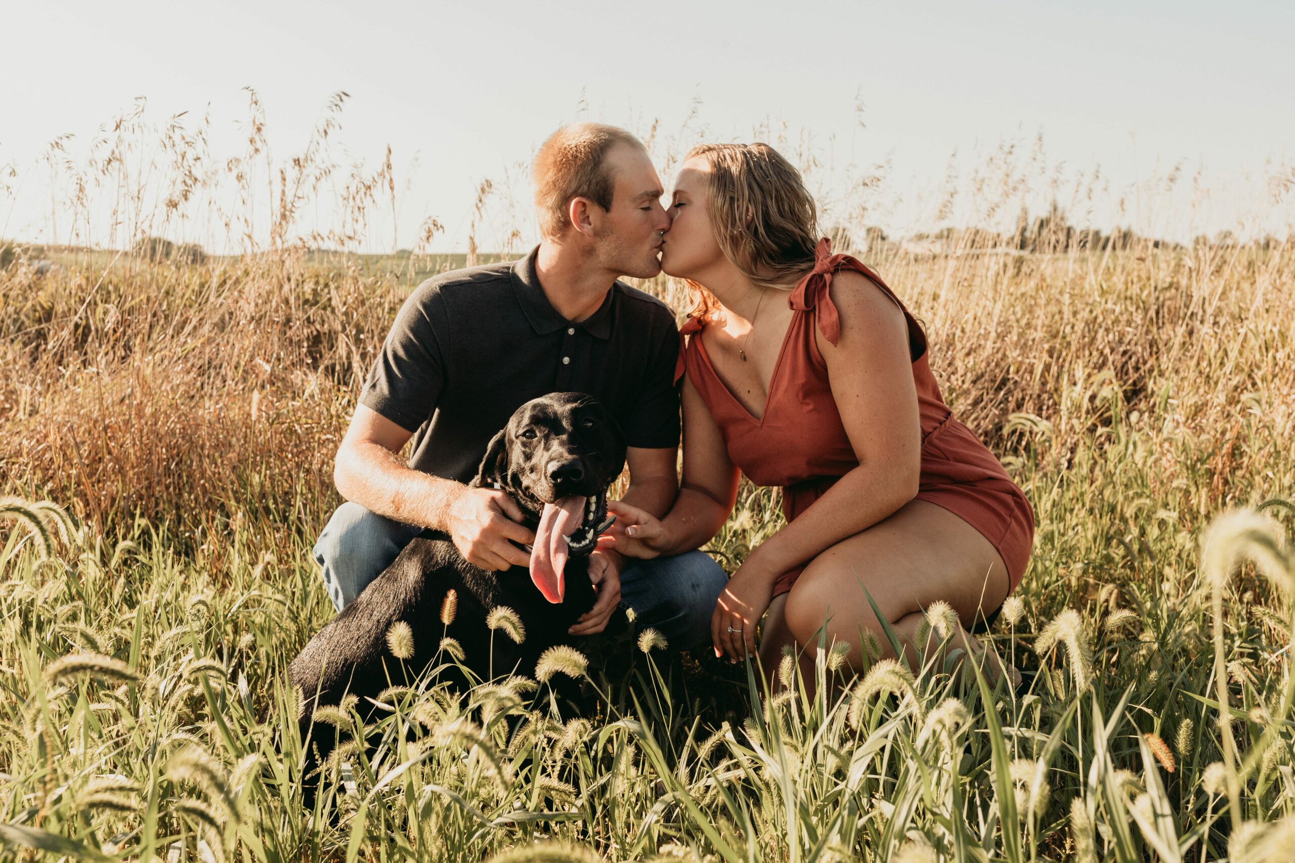 engagement photos in cornfield